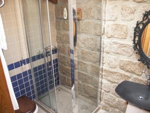 FolgosinhoCasa dos Limos Verdes的浴室设有玻璃淋浴间和卫生间