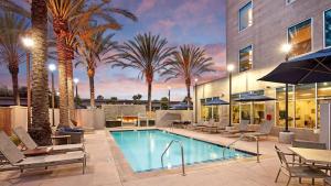 洛杉矶AC Hotel by Marriott Los Angeles South Bay的一座棕榈树游泳池和一座建筑