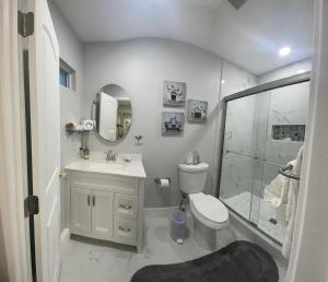 拉斯维加斯Fantastic Suite的浴室配有卫生间、盥洗盆和淋浴。