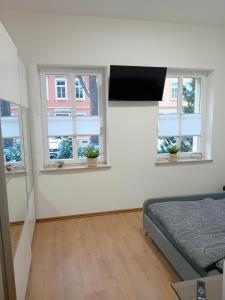 德累斯顿Top Ferienwohnung in sehr guter Lage的一间卧室设有三扇窗户和一张床