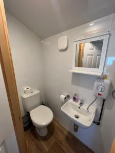 波特里Isle Of Skye Camping Pods的一间带卫生间和水槽的小浴室