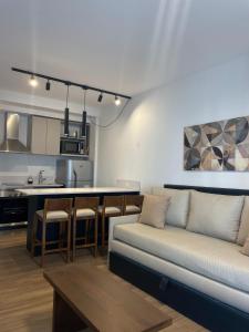 布宜诺斯艾利斯Barrancas Quality Apartments的带沙发的客厅和厨房