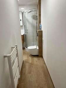 什切青Luksusowy Apartament przy dworcu的带淋浴和卫生间的浴室。