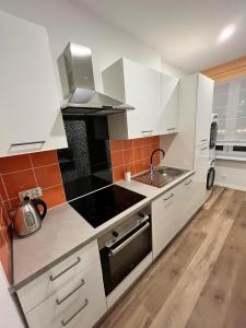 什切青Luksusowy Apartament przy dworcu的厨房配有白色橱柜和炉灶烤箱。