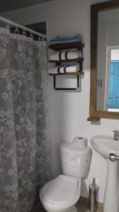 TrujilloJARDIN CAFETERO的一间带卫生间、水槽和镜子的浴室