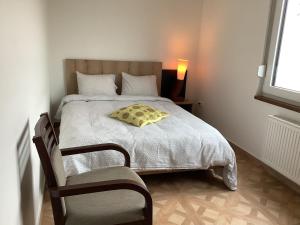 RollingenSanhe的一间卧室配有一张带枕头和椅子的床