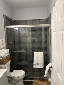 萨凡纳Favored Stay的带淋浴、卫生间和盥洗盆的浴室