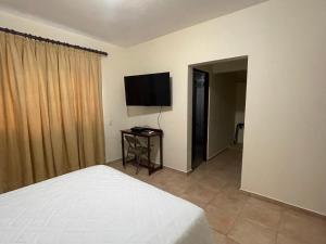 圣多明各Apartahotel Alvear的一间卧室配有一张床和一台平面电视