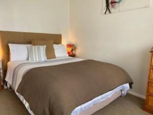 提马鲁Wee Blue BnB- Central Cosy Villa的一间卧室配有一张带棕色毯子的大床