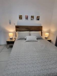 巴拿马城Loft Centrico Tranquilo Elegante APART #6的一间卧室配有一张大床和两盏灯