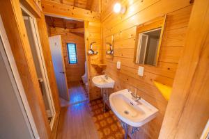 对马市Tsushima Miuda Pension的小木屋内的浴室设有2个水槽