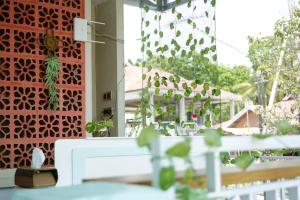 纳闽巴霍Bajo Bunkhouse的一间设有桌子和植物窗户的房间