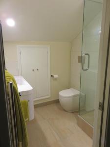 惠灵顿Khandallah Harbour View BnB的浴室配有卫生间、盥洗盆和淋浴。
