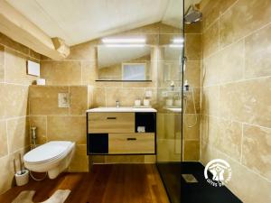 卡尔卡松Loft cocon climatisé - Imprenable vue sur le château Comtal的浴室配有卫生间、盥洗盆和淋浴。