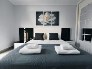 阿罗纳Apartment La Fiesta的一间卧室配有一张带两个白色枕头的大床