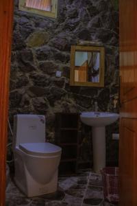 拉利贝拉Lalibela Hidmo Cozy Place的石质浴室设有卫生间和水槽