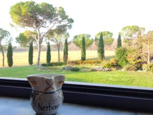 卡索莱德尔萨法托里阿内博纳农庄旅馆的坐在窗边的花瓶,眺望着花园