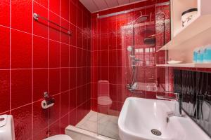 第比利斯Sunny Hotel Tbilisi的红色瓷砖浴室设有卫生间和水槽