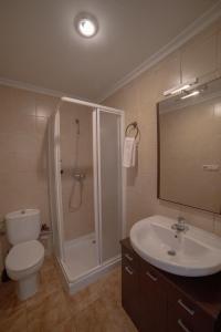 阿尔卡拉德尔胡卡尔Apartamentos Berrocal的带淋浴、卫生间和盥洗盆的浴室