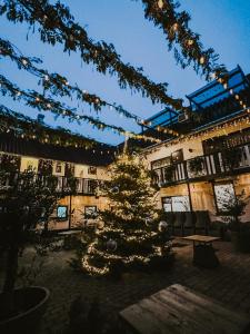 HulsbergCarré Hotel Zuid-Limburg的建筑庭院里的圣诞树