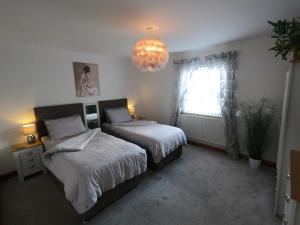 布雷肯Cribyn Lodge的一间卧室配有两张床和吊灯。