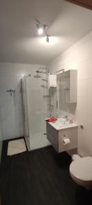 伊尔梅瑙Ferienwohnung Schulzental的带淋浴、卫生间和盥洗盆的浴室