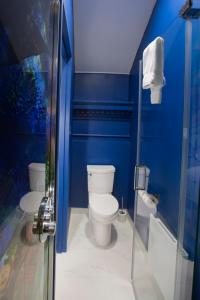 阿尔马Le Saint-Crème的蓝色的浴室设有卫生间和淋浴。