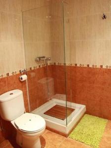 巴尔洪克拉La Tellería的一间带卫生间和玻璃淋浴间的浴室