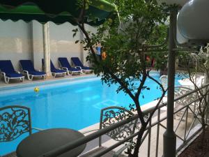 科托努阳光海滩酒店的游泳池旁设有椅子和一棵树