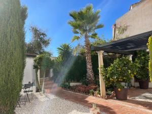 格拉纳达San Miguel B&B Granada的一个带棕榈树和蓝伞的庭院
