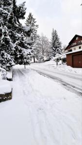 布劳恩拉格Hotel garni Am Hochwald的一条布满树木的雪覆盖街道和房子