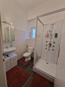 巴特奥塞Appartement 223的带淋浴、卫生间和盥洗盆的浴室