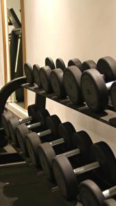 卡萨布兰卡New Hotel Piscine Wellness & Spa的健身房里一排架子上的哑铃