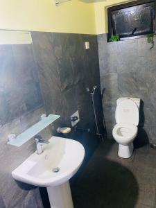 努沃勒埃利耶Crown Resort的一间带水槽和卫生间的浴室