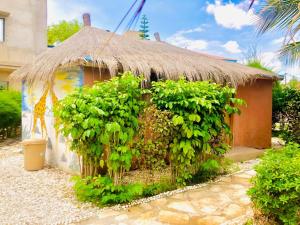 尼亚加托尔比酒店的茅草屋顶小房子,种植植物