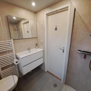 KrachtighuizenZonnig zomerhuis的浴室配有卫生间、盥洗盆和淋浴。