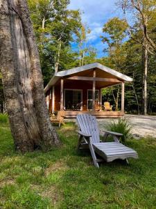 East KemptvilleOwl Cabin - Cozy Forest Retreat nearby Lake的木凳坐在小屋前