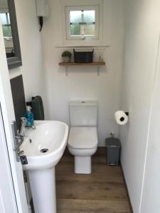 大艾顿CEDAR CAMPING POD的一间带卫生间和水槽的小浴室