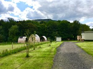 大艾顿CEDAR CAMPING POD的树木和建筑物林地的土路