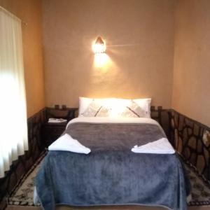 NkobLa perle de saghro的卧室配有一张床,墙上有灯