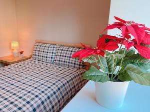 斯托克波特GALAXY APARTMENT的一间卧室配有一张床和盆栽植物
