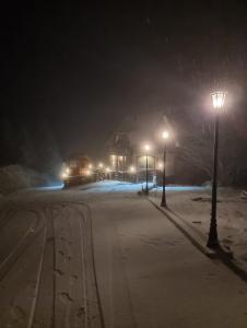 科帕奥尼克Vila Rajski kutak Kopaonik的夜间有雪覆盖的街道,有街灯