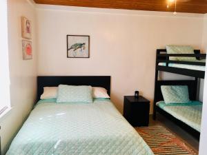 爱丽丝镇Bimini Seaside Villas - Green Cottage with Bay/Marina View的一间卧室配有一张床和两张双层床。
