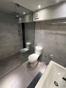 特里卡拉Celeste Loft的浴室配有卫生间、淋浴和盥洗盆。
