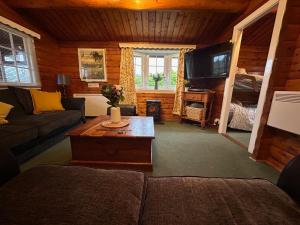 特兹西尼德Cosy Log Cabin Snowdonia Eryri的带沙发和电视的客厅