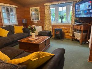 特兹西尼德Cosy Log Cabin Snowdonia Eryri的带沙发、桌子和壁炉的客厅