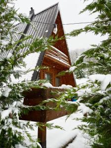 OrllanVilla Family的树上的雪舱