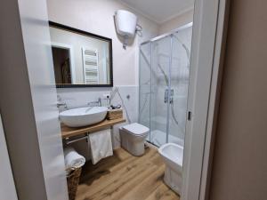 奥里斯塔诺Guest House Canalis 17的一间带水槽、淋浴和卫生间的浴室