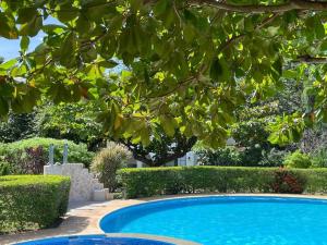 普拉亚埃尔莫萨Villa Hermosa的一座绿树成荫的庭院中的蓝色游泳池