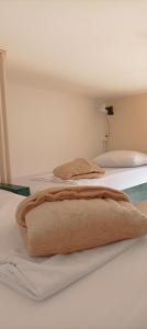弗洛里亚诺波利斯Santa Catarina Hostel的两张床,上面有棕色的毯子